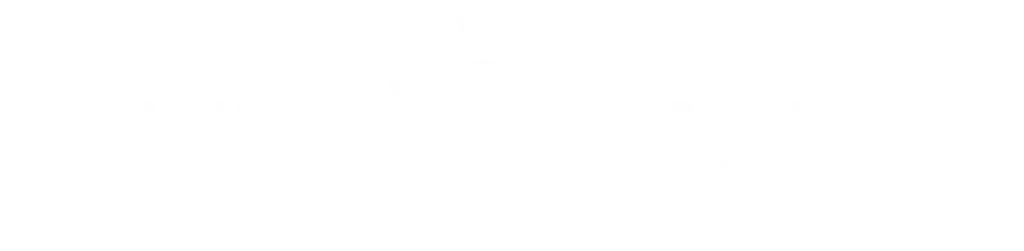 Logo Funnel Academy Adi Petrasca Nicu Stirbescu